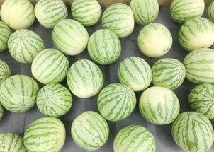 真正的吃瓜网,真正的吃瓜网带你直击幕后真相