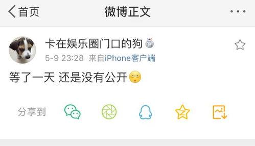 爆料吃瓜平台都有哪些,盘点那些让你欲罢不能的爆料天堂