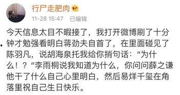 爆料吃瓜指南,如何成为吃瓜群众的达人指南