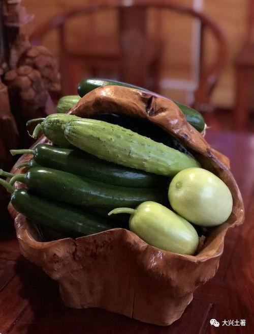 有瓜可以吃的网红